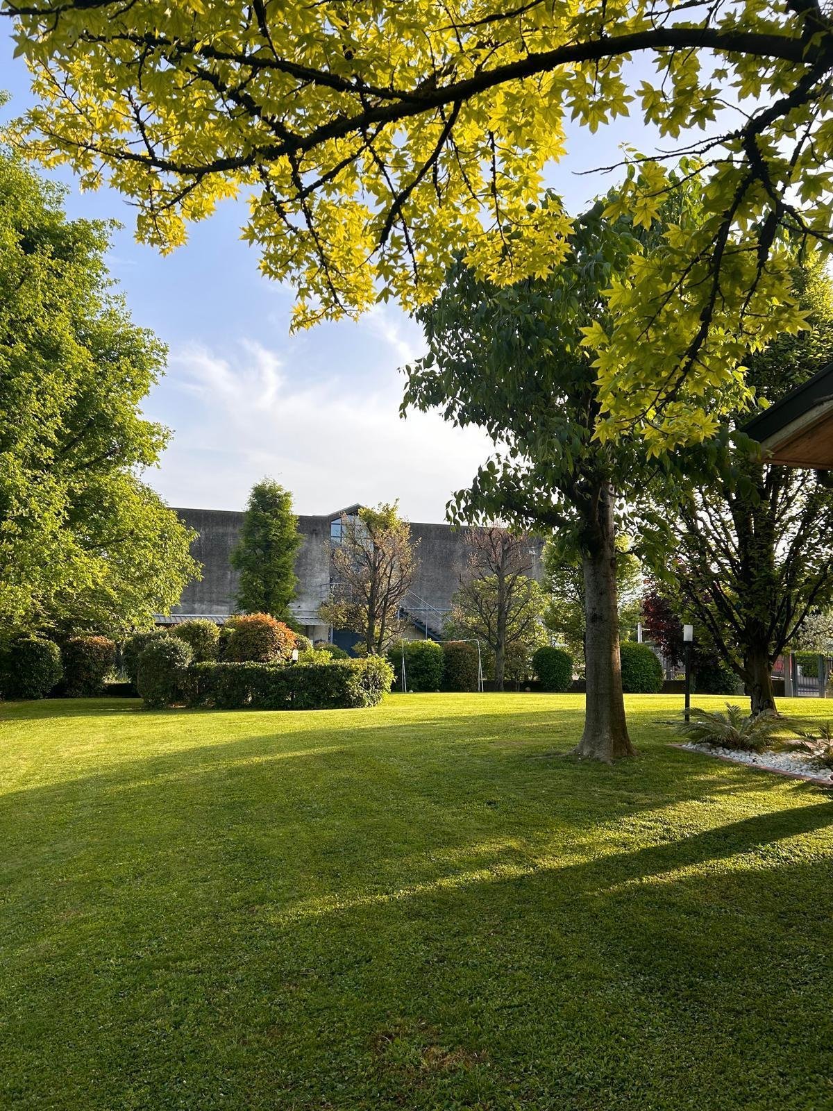Parco soleggiato con prato curato e alberi con foglie gialle
