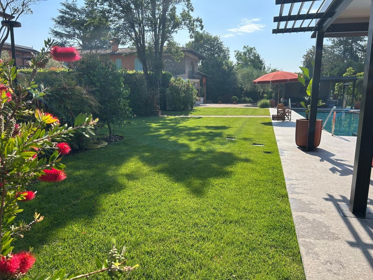 Cortile soleggiato con prato curato, piante con fiori rossi, pergola e piscina