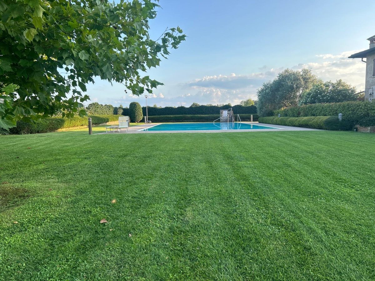Grande piscina rettangolare su un prato curato circondata da alberi verdi