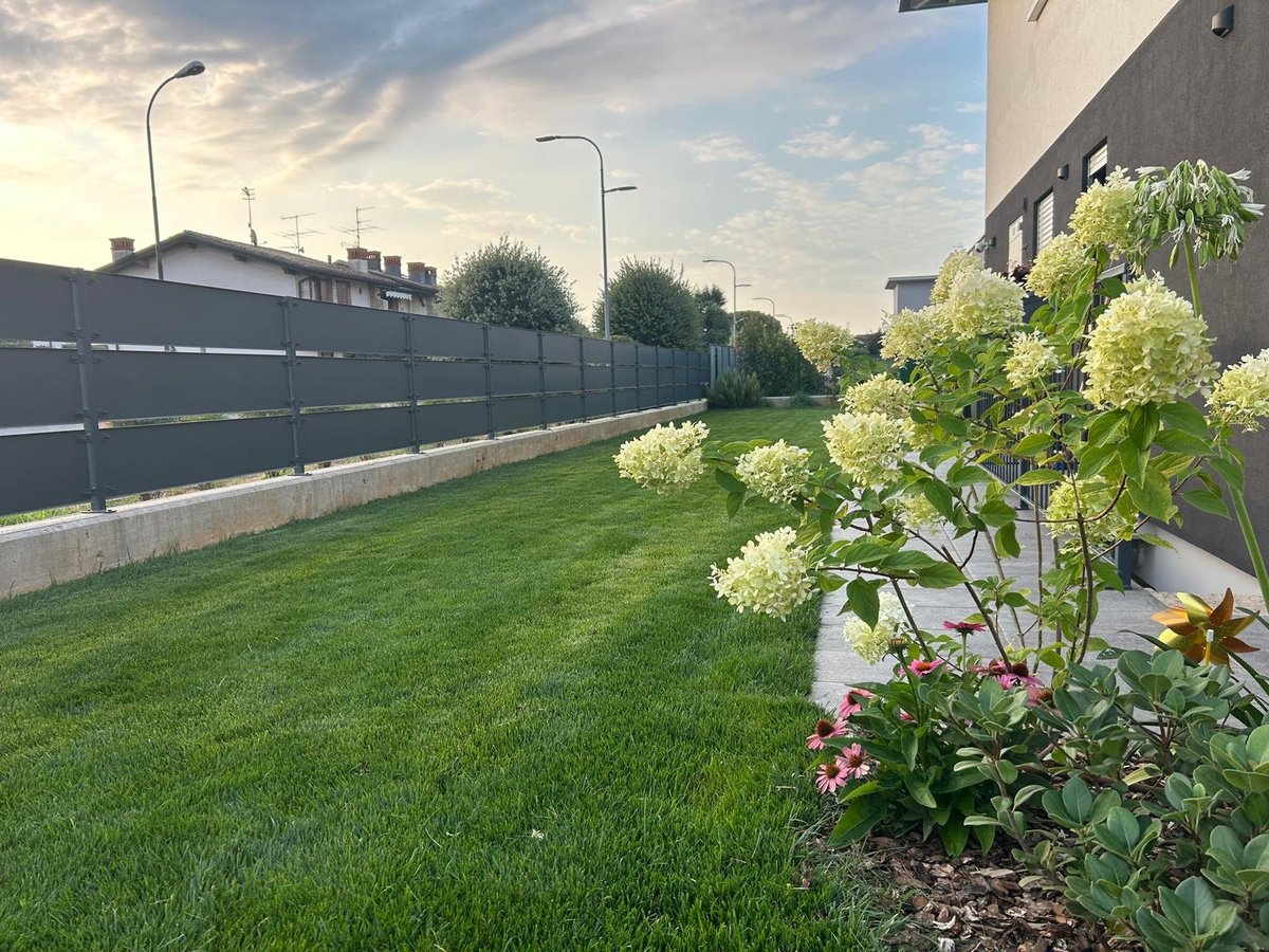 Giardino residenziale con arbusti a fiori bianchi lungo una recinzione scura al tramonto